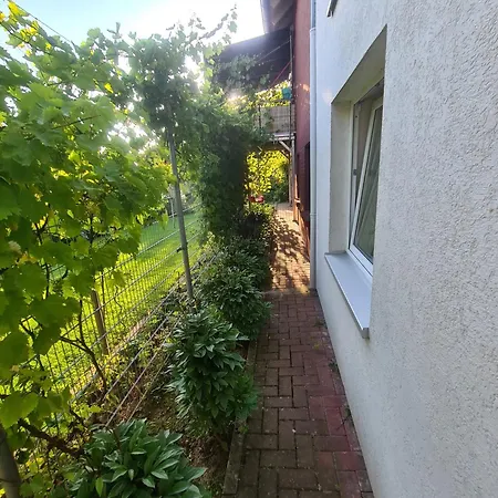 Apartamento Suedharzperle *