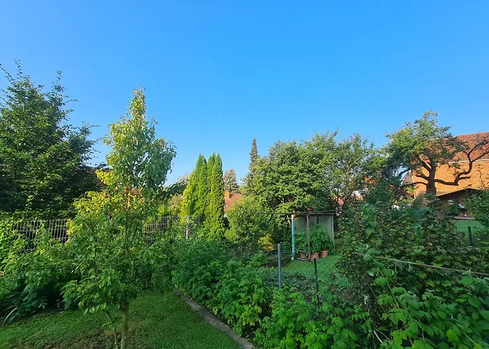 Suedharzperle באד לאוטרברג